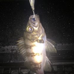 小雨の中ライト